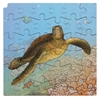 Image sur Puzzle Le cycle de la vie de la tortue
